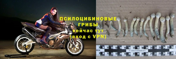 твердый Володарск