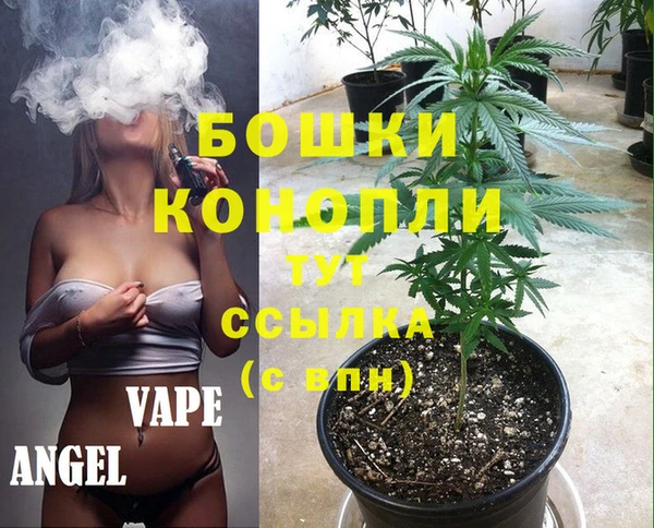 мдпв Сосновый Бор