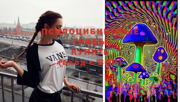 спиды Волосово