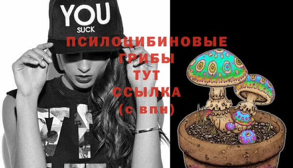 альфа пвп Горняк