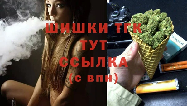 твердый Горно-Алтайск