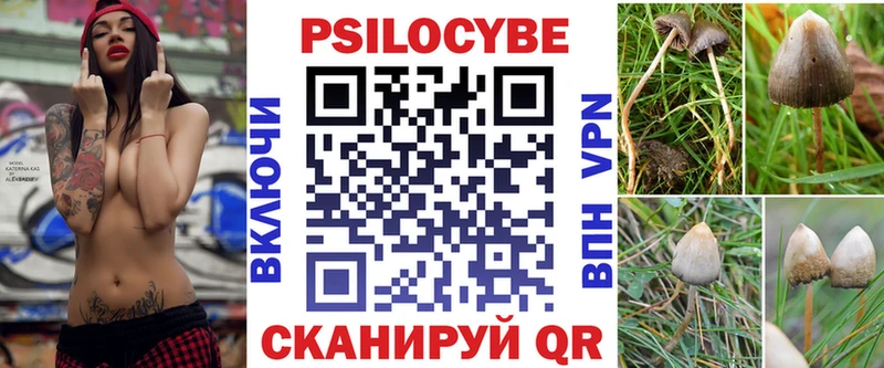 Псилоцибиновые грибы Cubensis  МЕГА ссылка  Дубна 